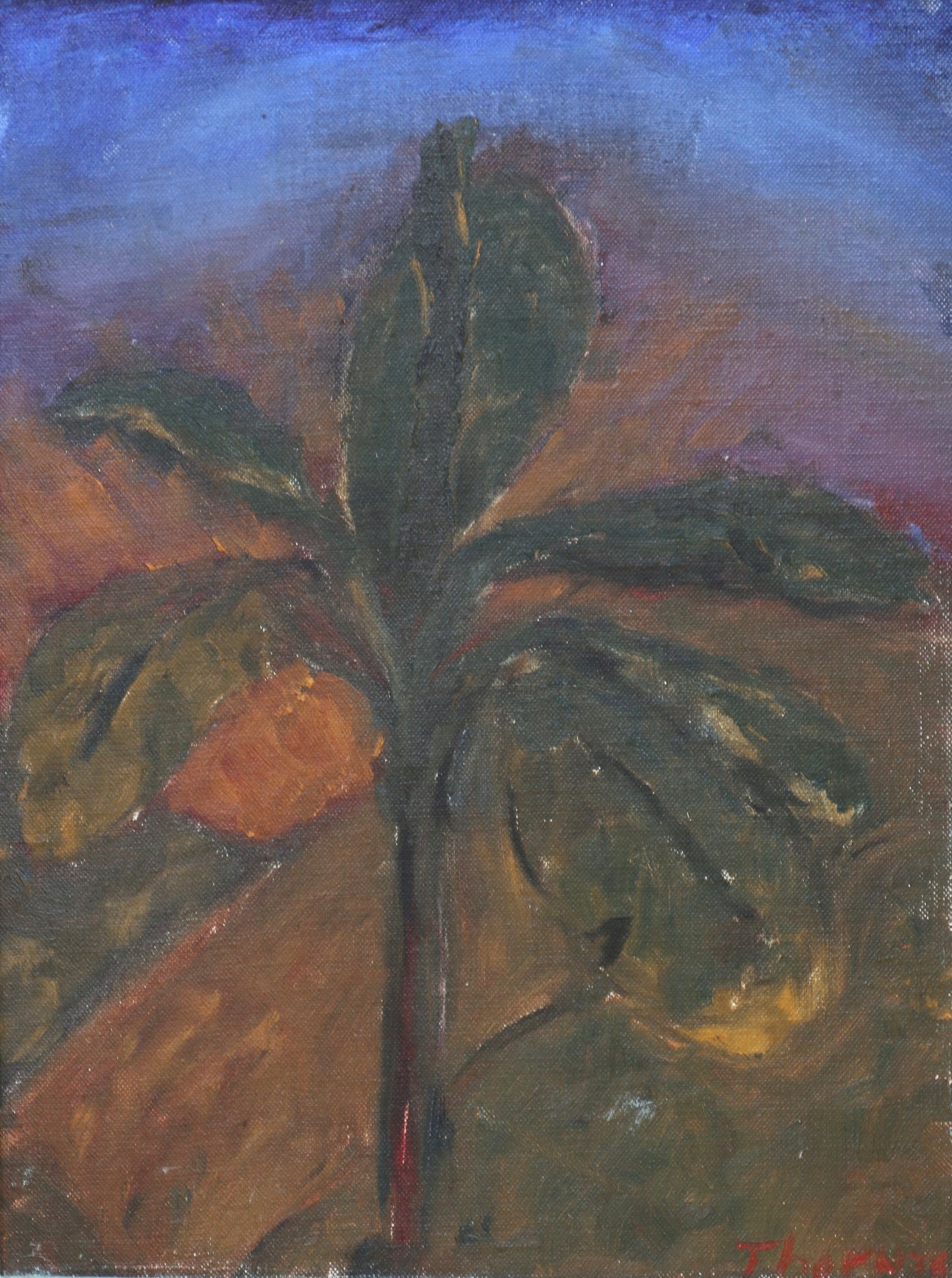 Original oil painting of a banana tree silhouetted at dusk by Joel Thornton